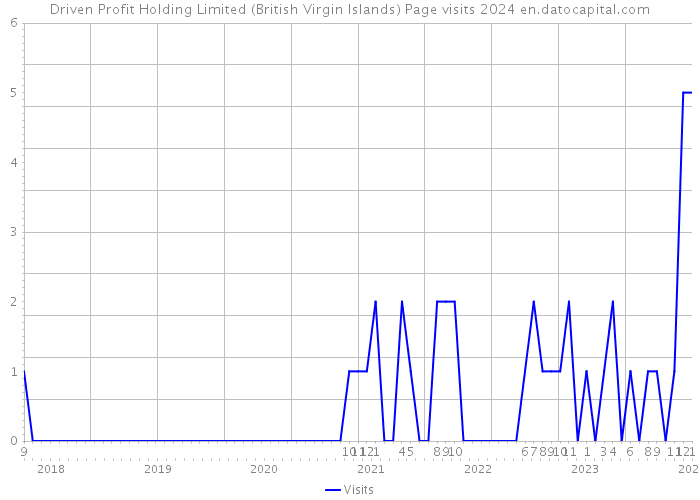 Driven Profit Holding Limited (British Virgin Islands) Page visits 2024 