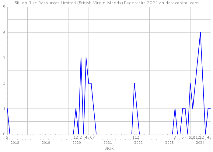 Billion Rise Resources Limited (British Virgin Islands) Page visits 2024 
