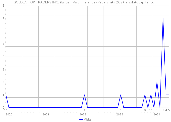 GOLDEN TOP TRADERS INC. (British Virgin Islands) Page visits 2024 