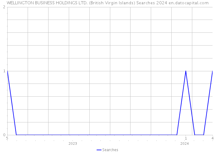 WELLINGTON BUSINESS HOLDINGS LTD. (British Virgin Islands) Searches 2024 