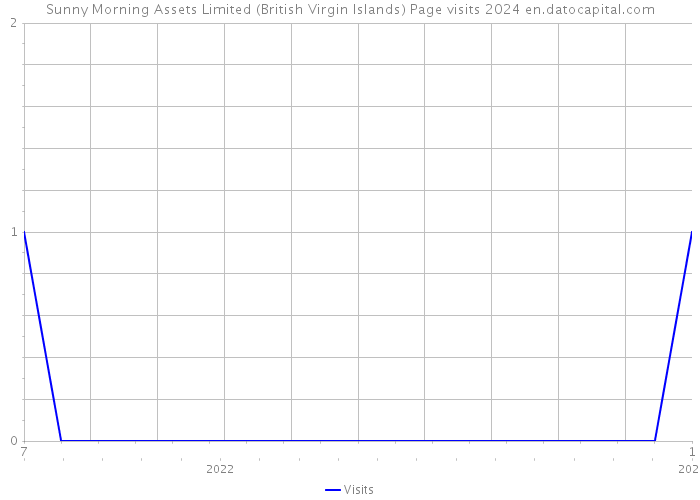 Sunny Morning Assets Limited (British Virgin Islands) Page visits 2024 