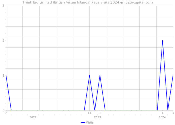 Think Big Limited (British Virgin Islands) Page visits 2024 