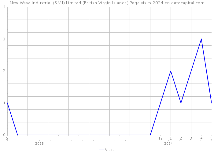 New Wave Industrial (B.V.I) Limited (British Virgin Islands) Page visits 2024 