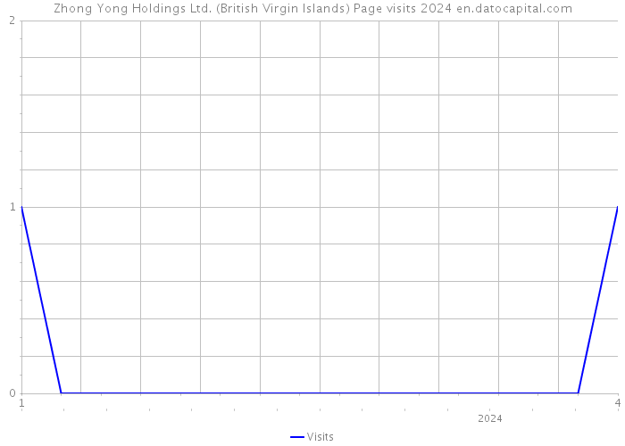 Zhong Yong Holdings Ltd. (British Virgin Islands) Page visits 2024 