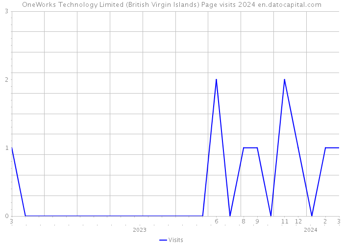 OneWorks Technology Limited (British Virgin Islands) Page visits 2024 