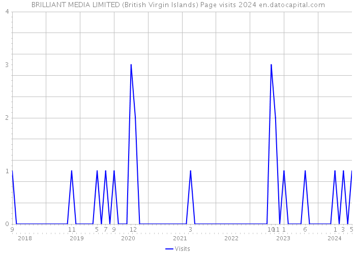 BRILLIANT MEDIA LIMITED (British Virgin Islands) Page visits 2024 