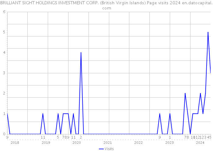 BRILLIANT SIGHT HOLDINGS INVESTMENT CORP. (British Virgin Islands) Page visits 2024 