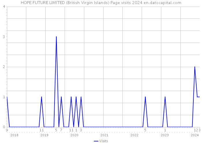 HOPE FUTURE LIMITED (British Virgin Islands) Page visits 2024 
