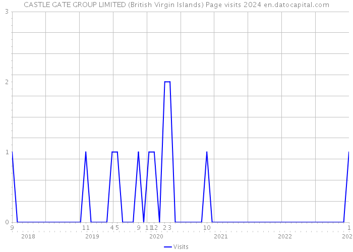 CASTLE GATE GROUP LIMITED (British Virgin Islands) Page visits 2024 