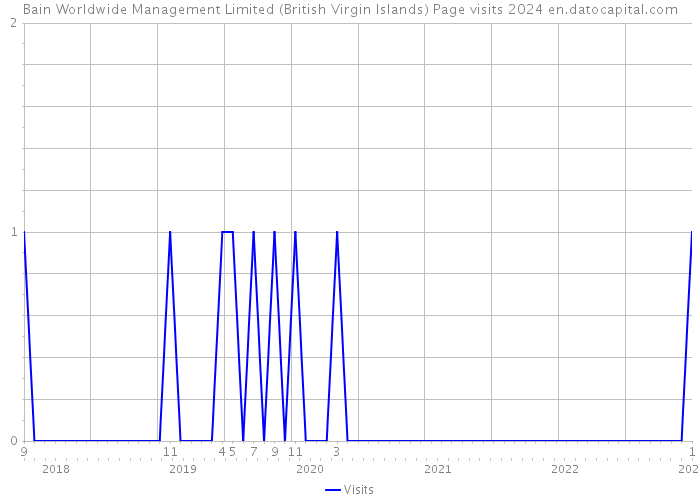 Bain Worldwide Management Limited (British Virgin Islands) Page visits 2024 