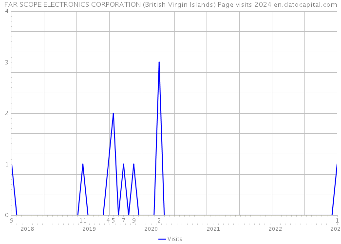 FAR SCOPE ELECTRONICS CORPORATION (British Virgin Islands) Page visits 2024 
