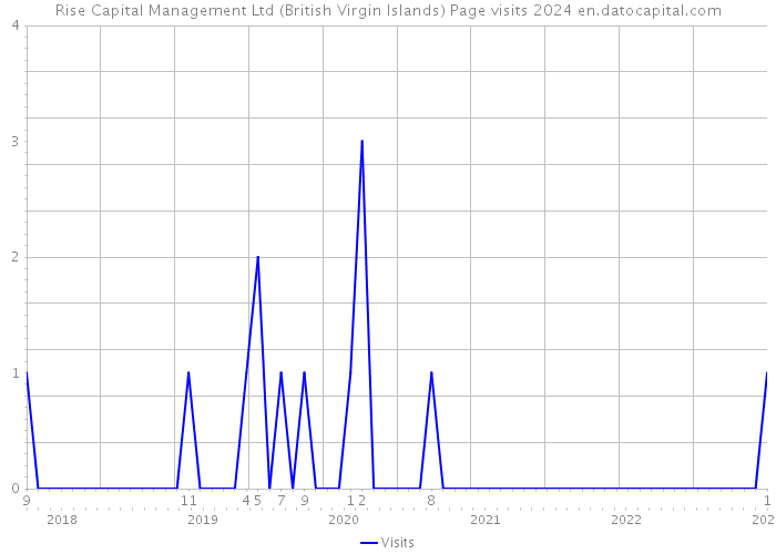 Rise Capital Management Ltd (British Virgin Islands) Page visits 2024 