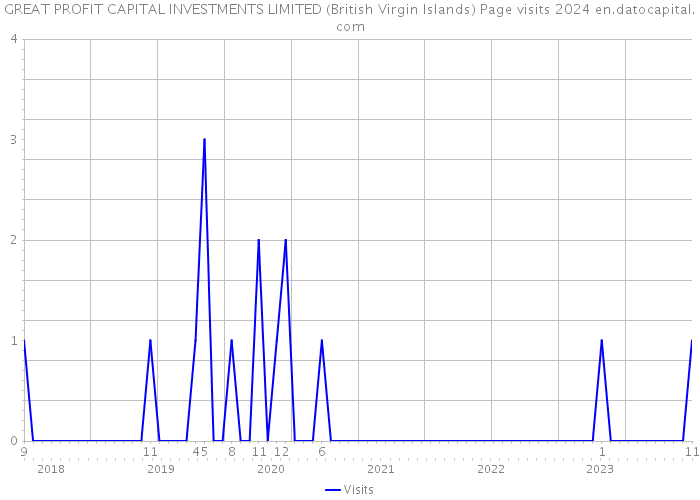 GREAT PROFIT CAPITAL INVESTMENTS LIMITED (British Virgin Islands) Page visits 2024 