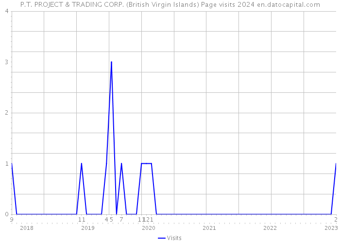 P.T. PROJECT & TRADING CORP. (British Virgin Islands) Page visits 2024 