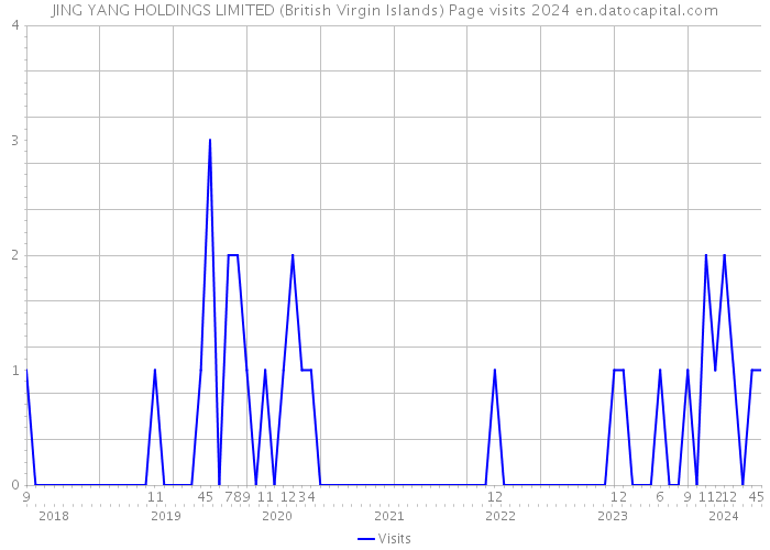JING YANG HOLDINGS LIMITED (British Virgin Islands) Page visits 2024 