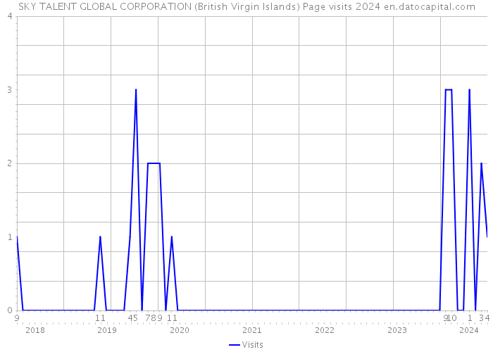 SKY TALENT GLOBAL CORPORATION (British Virgin Islands) Page visits 2024 