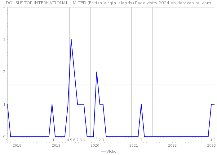 DOUBLE TOP INTERNATIONAL LIMITED (British Virgin Islands) Page visits 2024 