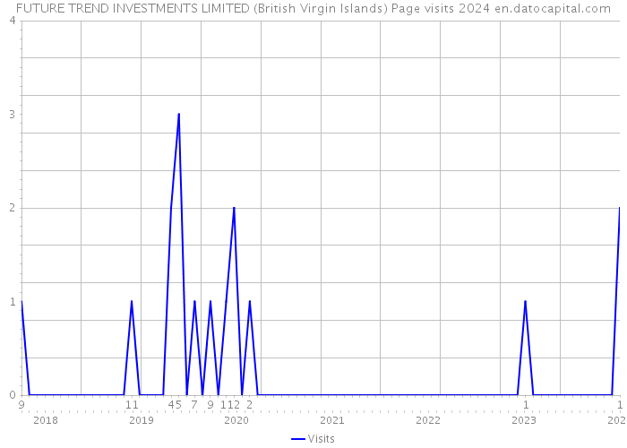 FUTURE TREND INVESTMENTS LIMITED (British Virgin Islands) Page visits 2024 