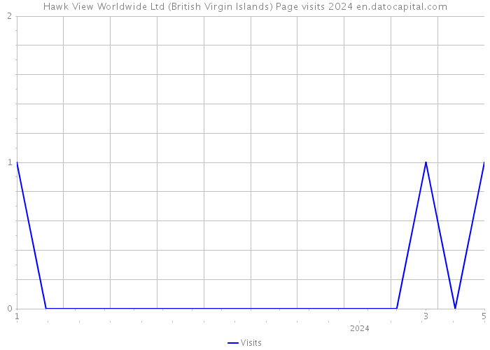 Hawk View Worldwide Ltd (British Virgin Islands) Page visits 2024 