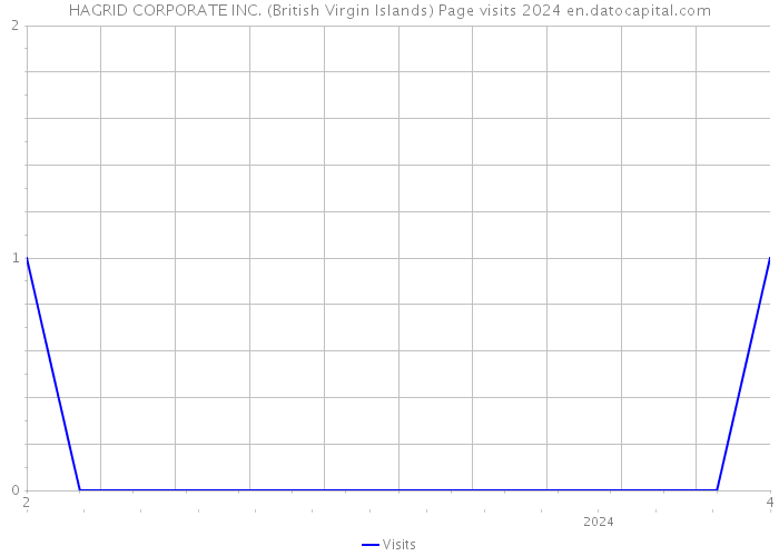 HAGRID CORPORATE INC. (British Virgin Islands) Page visits 2024 