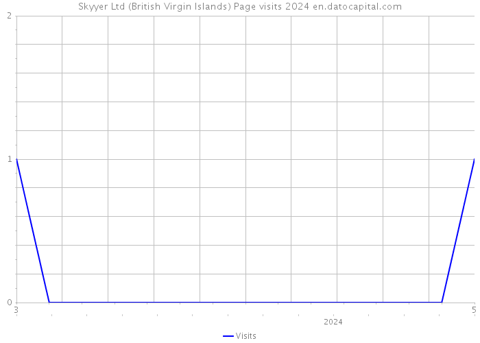 Skyyer Ltd (British Virgin Islands) Page visits 2024 