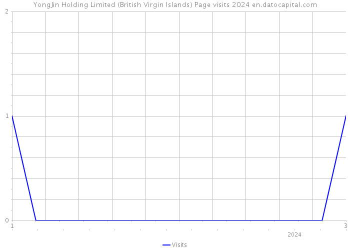 YongJin Holding Limited (British Virgin Islands) Page visits 2024 