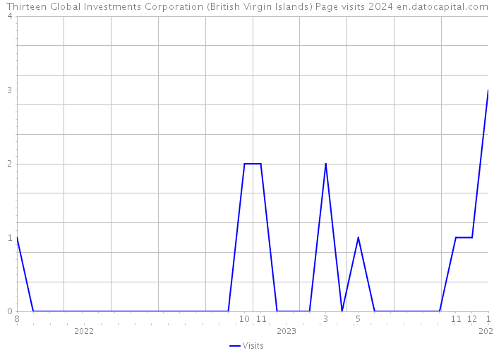 Thirteen Global Investments Corporation (British Virgin Islands) Page visits 2024 