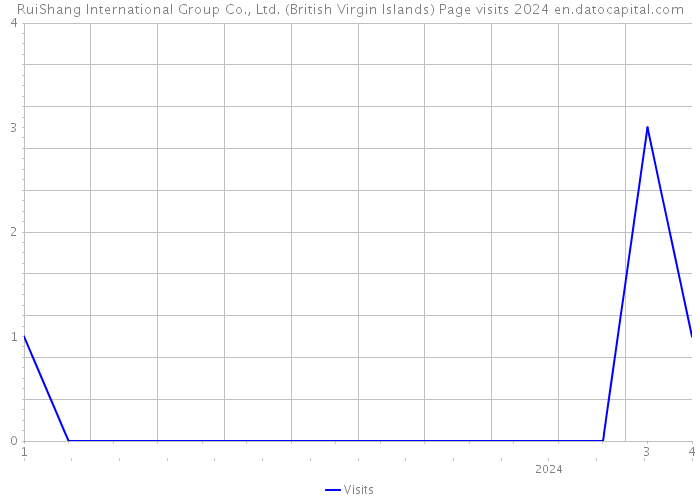 RuiShang International Group Co., Ltd. (British Virgin Islands) Page visits 2024 