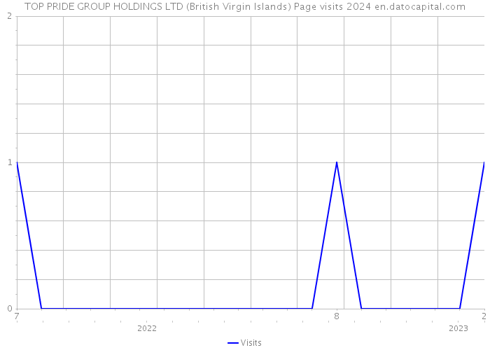 TOP PRIDE GROUP HOLDINGS LTD (British Virgin Islands) Page visits 2024 