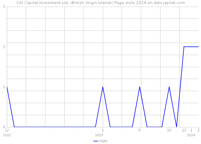 CAI Capital Investment Ltd. (British Virgin Islands) Page visits 2024 