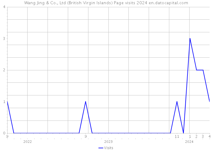Wang Jing & Co., Ltd (British Virgin Islands) Page visits 2024 