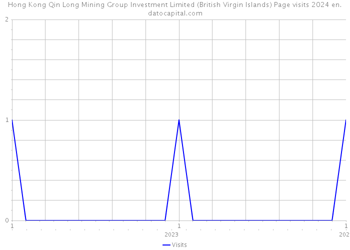 Hong Kong Qin Long Mining Group Investment Limited (British Virgin Islands) Page visits 2024 