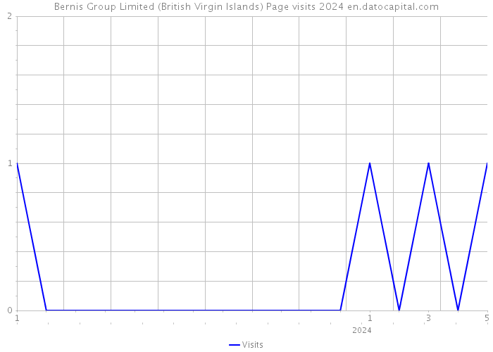 Bernis Group Limited (British Virgin Islands) Page visits 2024 