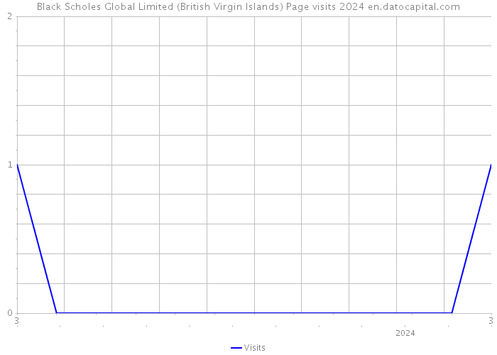Black Scholes Global Limited (British Virgin Islands) Page visits 2024 