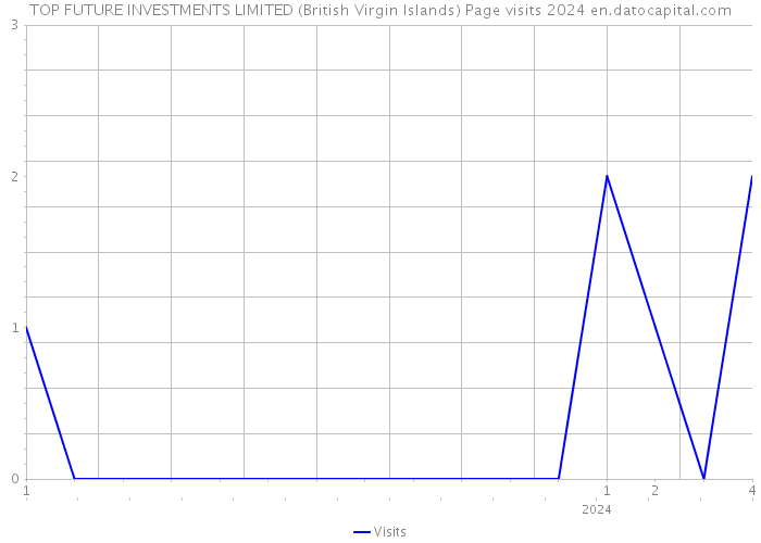 TOP FUTURE INVESTMENTS LIMITED (British Virgin Islands) Page visits 2024 