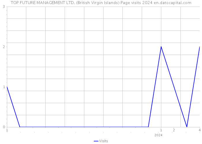 TOP FUTURE MANAGEMENT LTD. (British Virgin Islands) Page visits 2024 