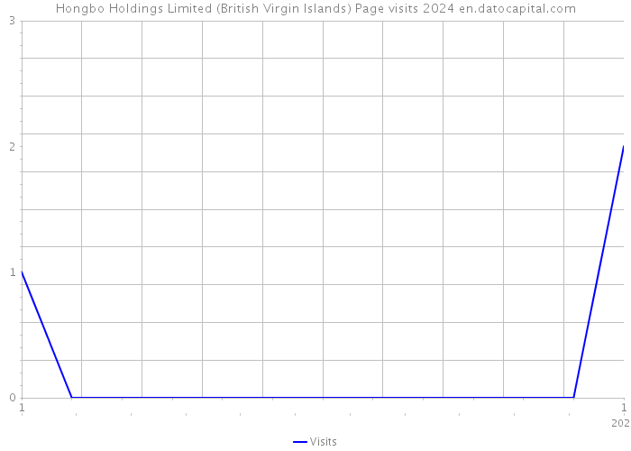 Hongbo Holdings Limited (British Virgin Islands) Page visits 2024 