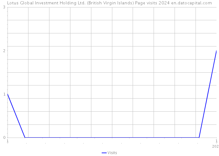 Lotus Global Investment Holding Ltd. (British Virgin Islands) Page visits 2024 