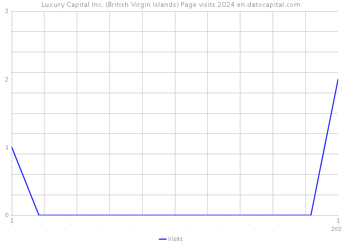Luxury Capital Inc. (British Virgin Islands) Page visits 2024 