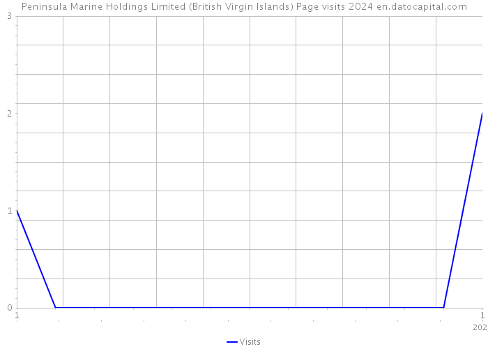 Peninsula Marine Holdings Limited (British Virgin Islands) Page visits 2024 