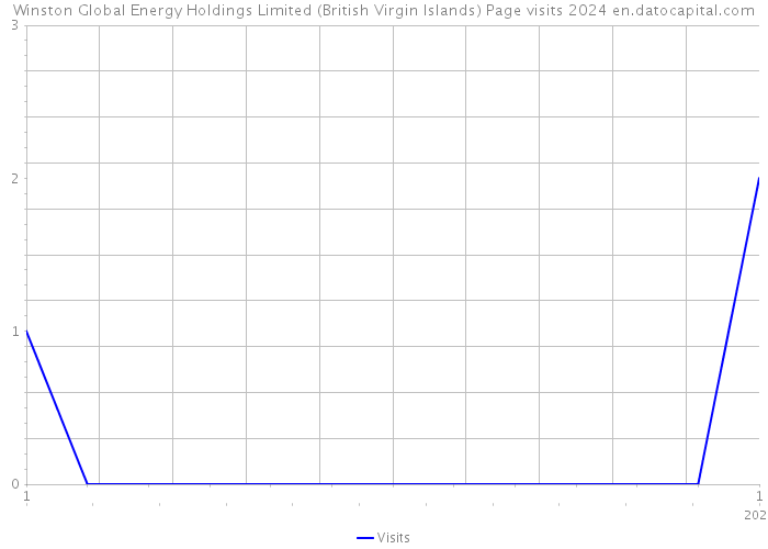 Winston Global Energy Holdings Limited (British Virgin Islands) Page visits 2024 