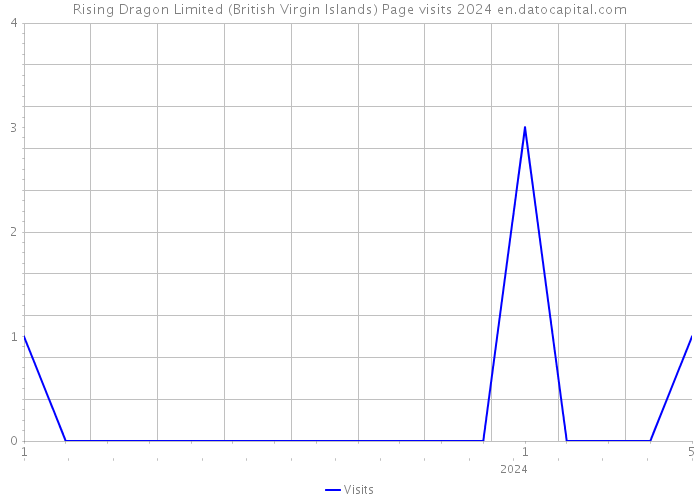 Rising Dragon Limited (British Virgin Islands) Page visits 2024 