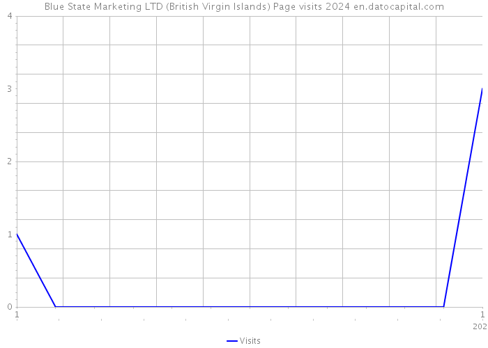 Blue State Marketing LTD (British Virgin Islands) Page visits 2024 