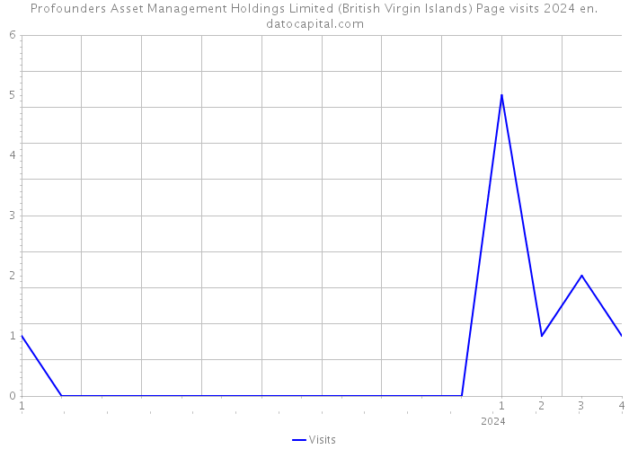 Profounders Asset Management Holdings Limited (British Virgin Islands) Page visits 2024 