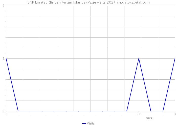 BNP Limited (British Virgin Islands) Page visits 2024 