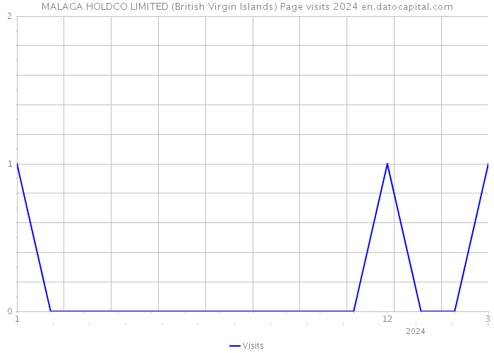 MALAGA HOLDCO LIMITED (British Virgin Islands) Page visits 2024 
