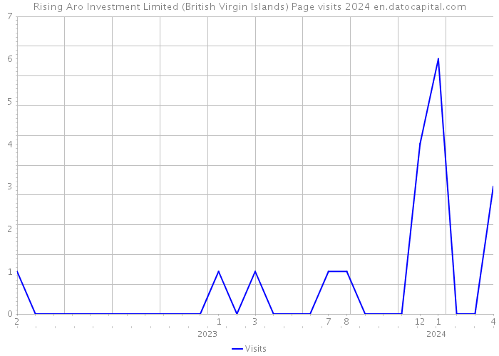 Rising Aro Investment Limited (British Virgin Islands) Page visits 2024 