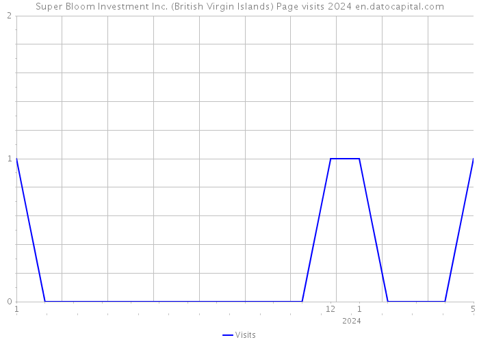Super Bloom Investment Inc. (British Virgin Islands) Page visits 2024 