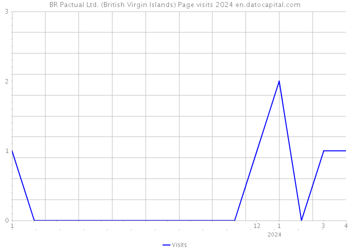 BR Pactual Ltd. (British Virgin Islands) Page visits 2024 