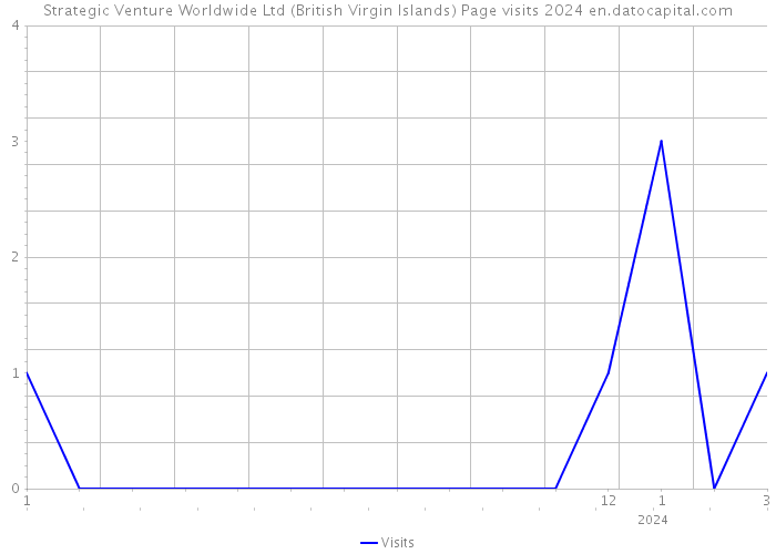 Strategic Venture Worldwide Ltd (British Virgin Islands) Page visits 2024 